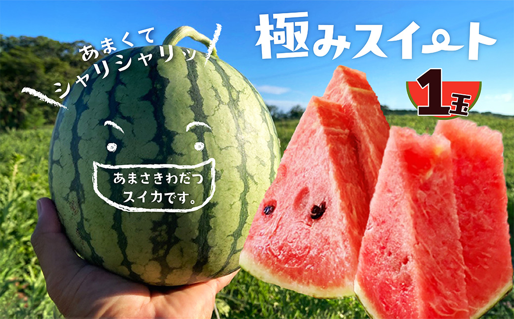 【先行予約】京丹後・俵野産 小玉スイカ 極みスイート 1玉（2027年7月中旬～発送）　IU00005
