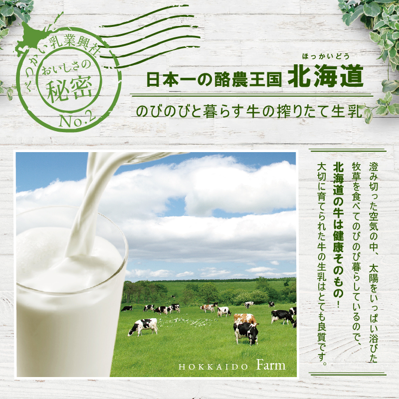 〈べつかい乳業興社〉 プレミアムミルクリッチ（ミルク・めろん各6個） 【高島屋選定品】【TK0000057】