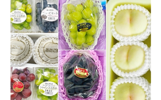 【 全6回定期便 】 岡山県産 フルーツ定期便 ＜ お一人様向け ＞ 白桃 ニューピオーネ シャインマスカット 晴王 果物 くだもの 果実 フルーツ 国産 ぶどう ブドウ 葡萄 もも 桃 モモ 梨 な