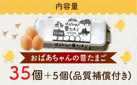 ばあちゃんの昔たまご 35個+5個（品質補償付き） / 佐賀県 / 素ヱコ農園 [41AEAA002]
