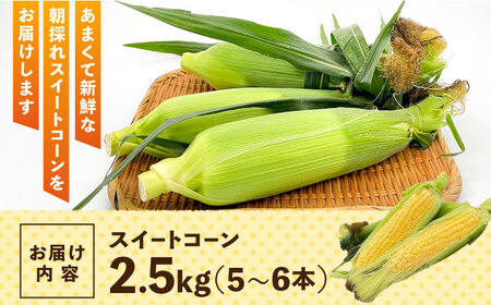 【5月末より発送】先行予約！朝採れ スイートコーン 約2.5kg（5~6本入り）とうもろこし ＜ちくし農園＞那珂川市[GDU002]