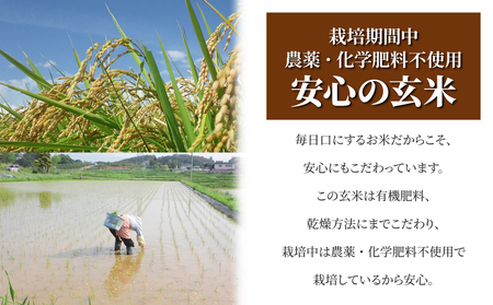 【太陽と大地】令和7年産「八重原産コシヒカリ玄米「極」（栽培期間中農薬化学肥料不使用）４kg」