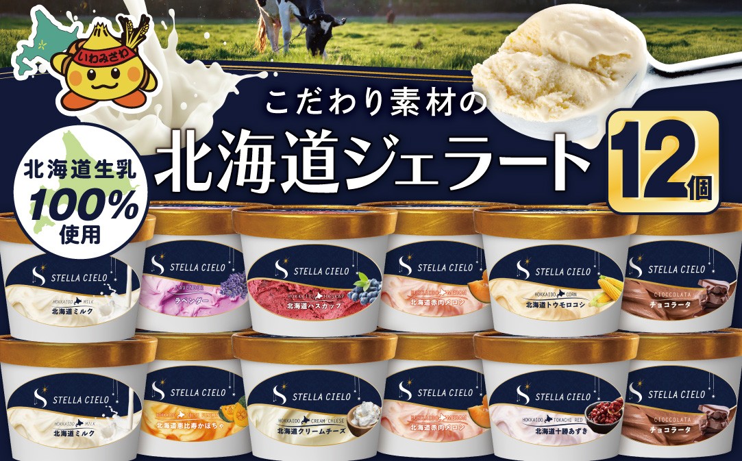 
            STELLA CIELO 北海道ジェラート12個 | 北海道ミルク チョコラータ 北海道クリームチーズ 北海道十勝あずき 北海道恵比寿かぼちゃ 北海道赤肉メロン 北海道ハスカップ ラベンダー 北海道トウモロコシ
          