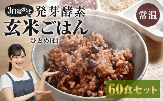 【常温】3日寝かせ発芽酵素 玄米ごはん 60食 セット （125g×60食） 玄米 ごはん