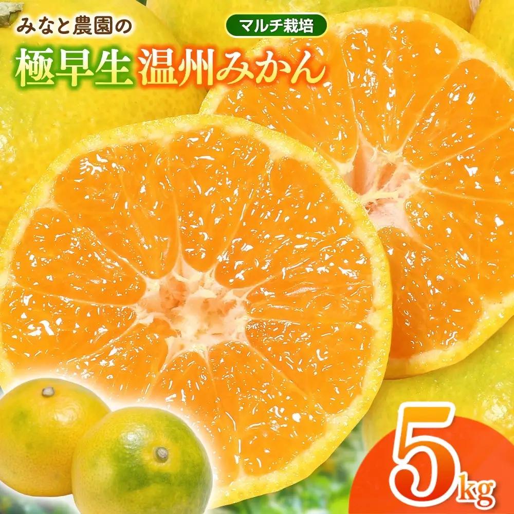 みかん 極早生温州みかん 約5kg マルチ栽培【mntf0003】