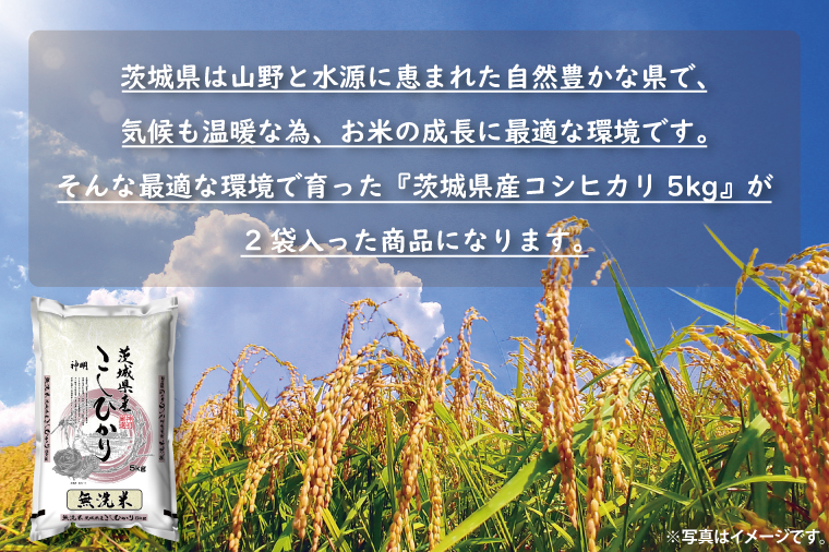 令和6年産無洗米茨城コシヒカリ5㎏×2【お米 こめ 米 こしひかり 無洗米 茨城県 茨城県産】（LL-2）
