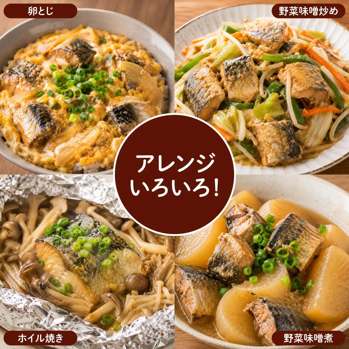 HOKO 鯖味噌煮 津軽味噌使用 ＜12缶＞ 1缶200g 国産さば 宝幸 おかず おつまみ 缶詰 非常食 保存食 長期保存 青森県 八戸市