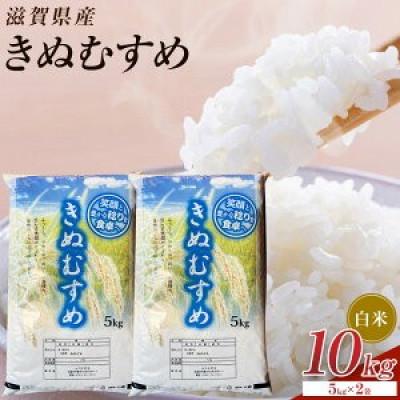 ふるさと納税 甲賀市 【令和7年産】近江米きぬむすめ白米10kg(5kg×2袋)