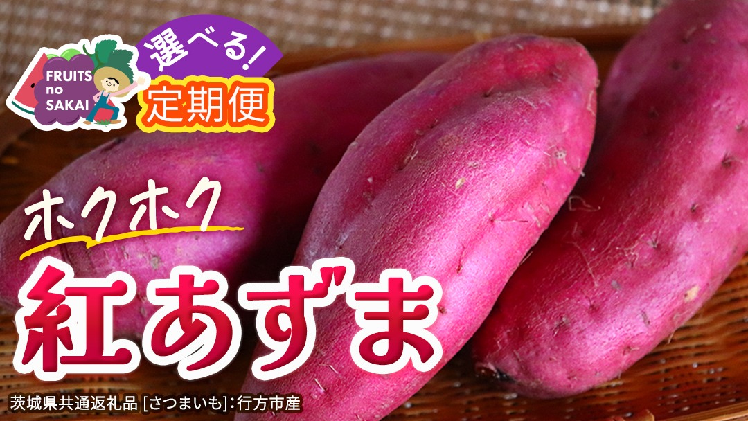 ＼選べる発送方法／ 紅あずま 約 2.5kg （茨城県共通返礼品 [さつまいも]：行方市産） 単品（1回）・定期便（3回 / 6回） さつまいも サツマイモ べにあずま 芋 いも 野菜 根菜  茨城県産 お取り寄せ 野菜 根菜 いも