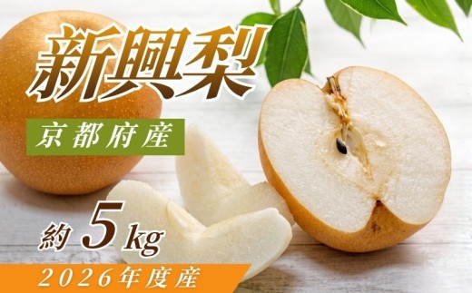 【先行予約】2026年度産 新興梨 約5kg（6玉～14玉入り） 京都府産 梨 和梨 なし ナシ フルーツ 旬の果物 くだもの 梨 秋 京都 京丹後産 直送 京都府 JA JA京都