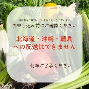 野菜 定期便 直送 12回 朝採れ 7～10品目 京都丹波 亀岡 佐伯の里 訳あり生活応援 家計応援 ※北海道・沖縄・離島への配送不可