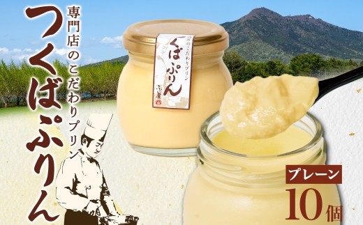 
                  つくばぷりん プレーン 10個 冷凍 プリン ぷりん 牛乳 生乳 ミルク 卵 奥久慈卵 スイーツ 贅沢 洋菓子 おやつ 冷菓 ご褒美 デザート 専門店 人気 グルメ お取り寄せ ギフト プレゼント 贈り物 贈答品 化粧箱 筑波山 つくば 送料無料 ふじ屋 茨城県 桜川市 [EW002sa]
                