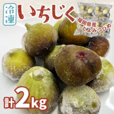 福岡県産「博多とよみつひめ」冷凍いちじく!合計2kg(大任町)