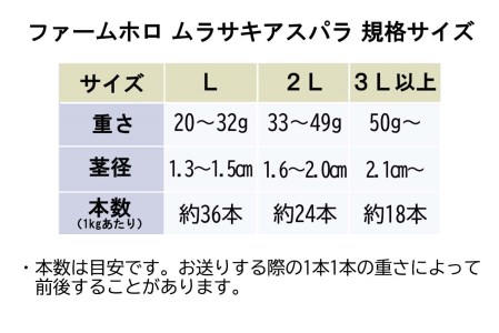 ＜2026年4月上旬より順次発送＞ 北海道産 春採り ムラサキ アスパラガス 1kg 2Lサイズ ＜予約受付＞