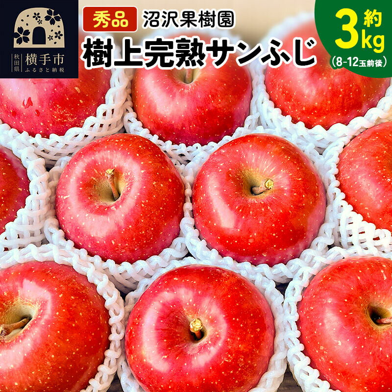【ふるさと納税】【先行受付】12月上旬より発送 贈り物にもおすすめ！サンフジ 秀品 約3kg（8〜12玉前後） [先行予約 サンふじ サンフジ 林檎 リンゴ ギフト 贈答用 フルーツ 果物 【りんご】特集]