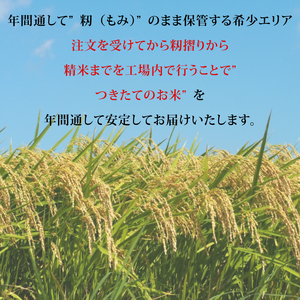 CZ-5　【令和5年産】茨城県産コシヒカリ 宝蔵米 15kg