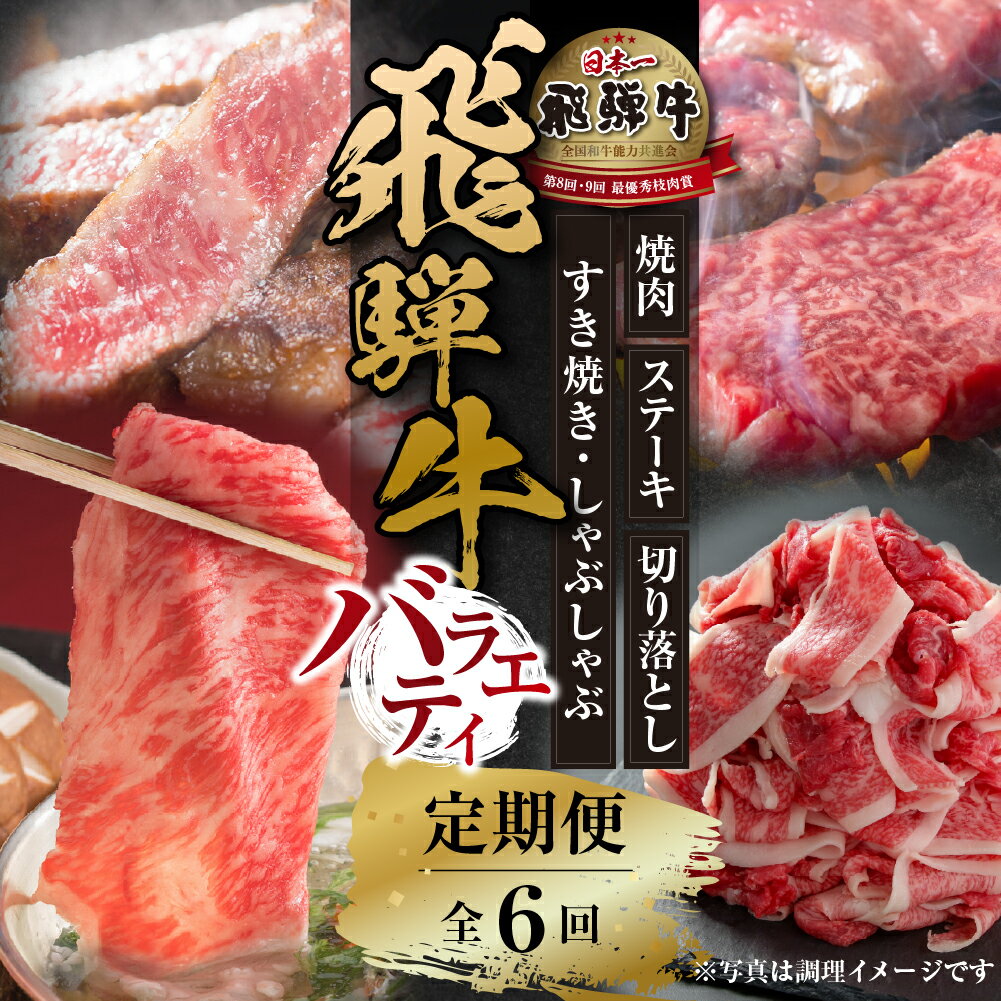 【ふるさと納税】《定期便》全6回 飛騨牛 バラエティ（ステーキ /焼肉 /すき焼き/切り落とし）[飛騨高山ミート][MZ105]