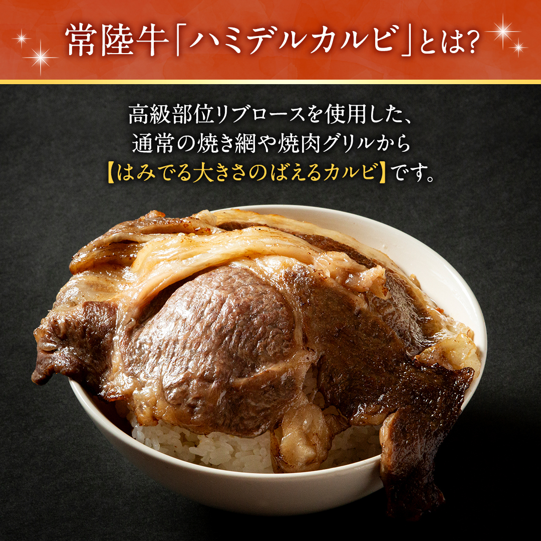 【 スピード発送 】【 常陸牛 】A5 等級 ハミデルカルビ 500g (3～5枚) ひたちぎゅう ブランド牛 カルビ 国産牛 黒毛和牛 和牛 国産黒毛和牛 お肉 A5ランク 高級 BBQ パーティ 