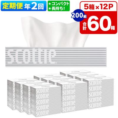 ふるさと納税 秋田市 《2回定期便》ティッシュペーパー スコッティ 60箱 5箱×12P|15_nsc-051202