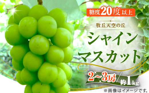 
            ＜2026年先行受付＞2026年9月下旬発送「牧丘天空のシャインマスカット」 約1kg(2～3房)【1473176】
          