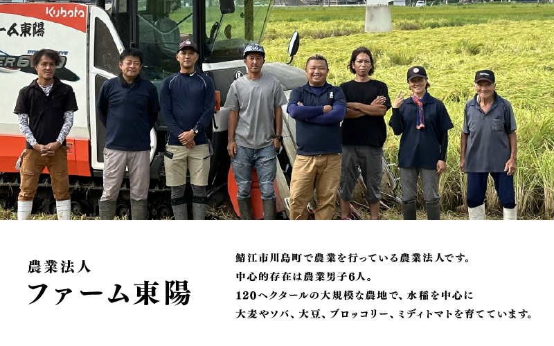 【数量限定！70袋限定販売！】＜2025年11月以降 順次発送予定＞令和7年産　コシヒカリ　通常便（1回配送）計10kg（5kg×2袋）