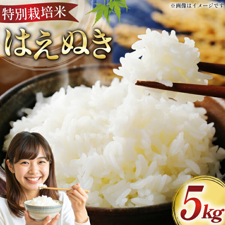 【ふるさと納税】 米 令和7年 特別栽培米 はえぬき 5kg [はまえん 山形県 高畠町 tk06ayt030004] 5キロ お米 ブランド米 ごはん ご飯 白米 精米 こめ