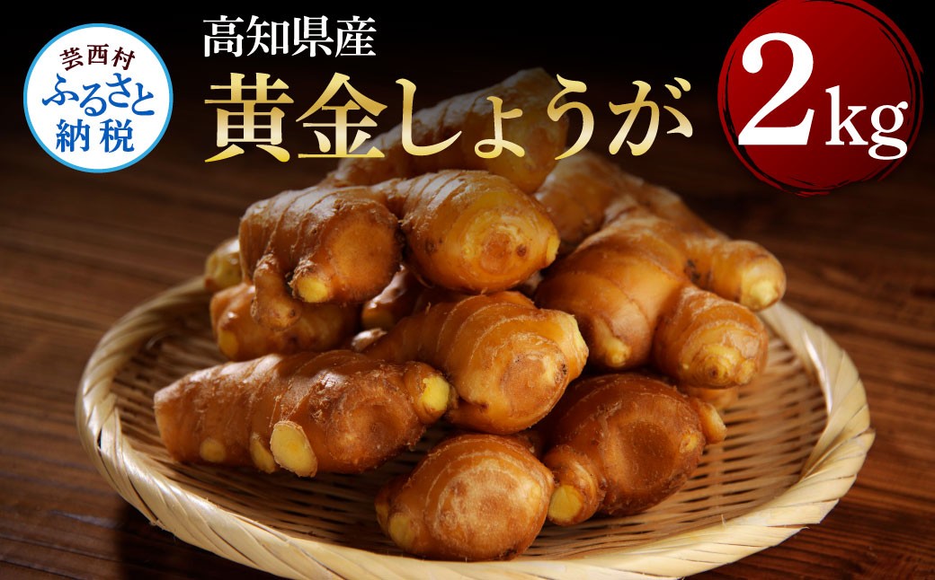
            高知県産黄金しょうが2kg -  しょうが ショウガ 生姜 坂田信夫商店 黄金しょうが 高知 国産 生姜焼き しょうが湯 ふるさとのうぜい 故郷納税 8000円 返礼品 高知県産
          