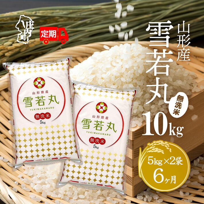 【ふるさと納税】＜11月中旬発送＞山形米6か月定期便！雪若丸無洗米 10kg（入金期限：2025.10.25）ブランド米 無洗米 ふるさと納税 米 定期便 山形県