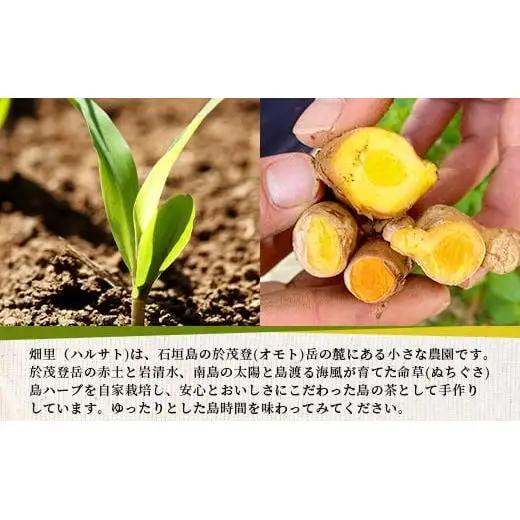 月桃茶　HR-2