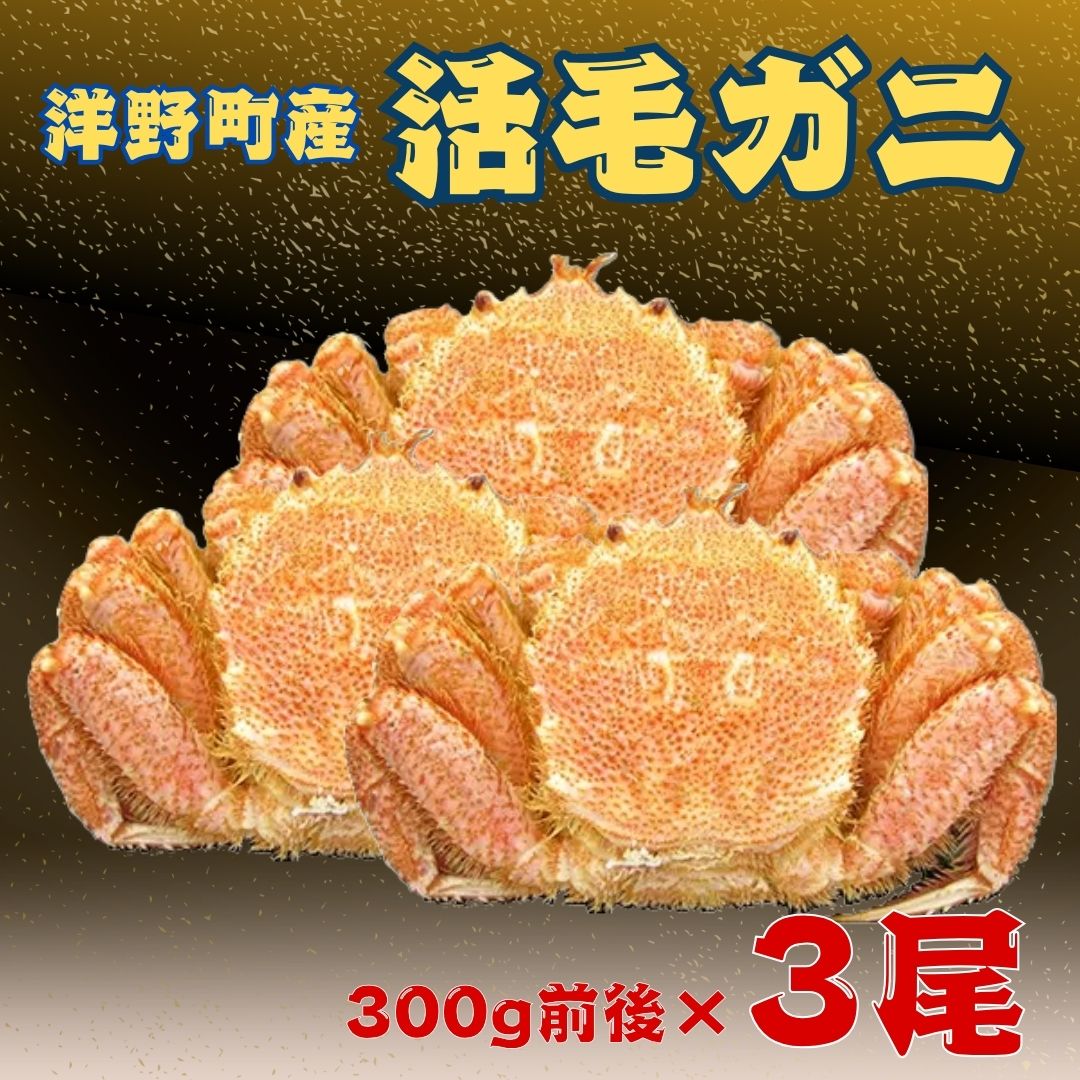 【ふるさと納税】洋野町産活毛がに 300g前後×3尾