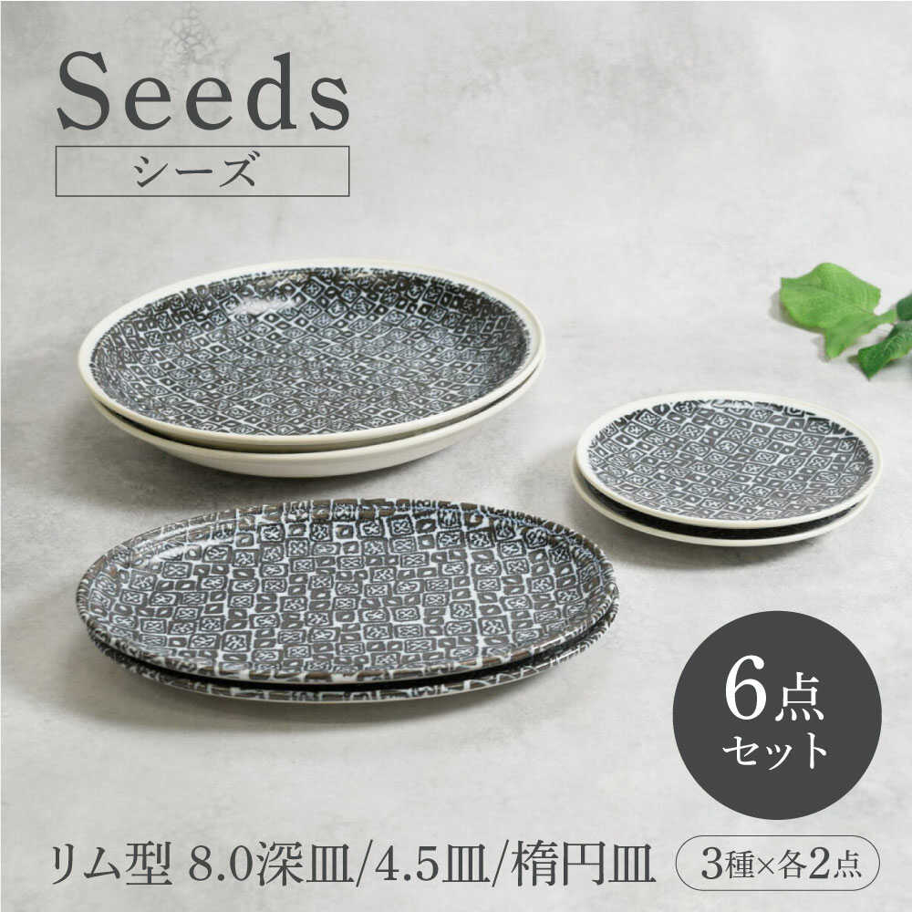 【ふるさと納税】【美濃焼】シーズ seeds リム型 8.0深皿 ＆ 4.5皿 ＆ 楕円皿 3種×各2点 6点セット【カネ定製陶】　うつわ プレート セット[MEI112]