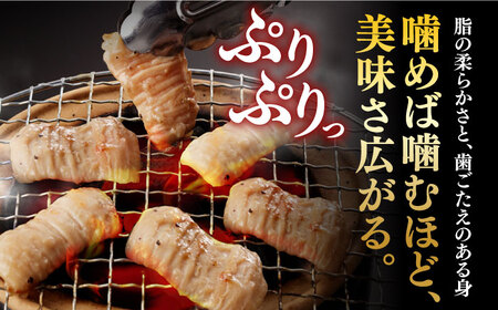 【全12回定期便】【塩だれ】九州産和牛 ホルモン 2種 計1kg（ シマチョウ 250g×2袋・ 丸腸 250g×2袋） 長与町/岩永ホルモン [EAX153]国産 牛肉 ミックス 小分け 味付き 冷
