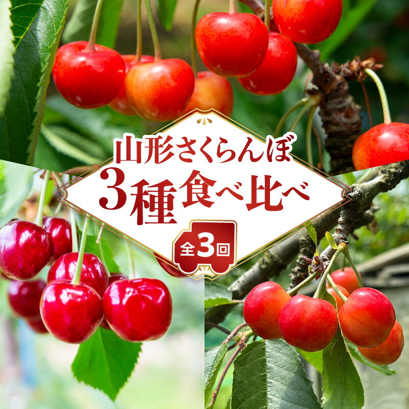 【ふるさと納税】山形さくらんぼ 3種食べ比べ定期便【定期便全3回】 ふるさと納税 さくらんぼ 紅さやか 佐藤錦 紅秀峰 山形県 大江町 ご褒美 フルーツ 果物 定期便 3種食べ比べ 旬の味覚 産地直送