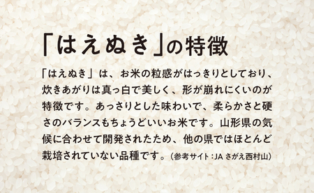 無洗米 はえぬき 令和7年産 5kg（1袋） 2025年産 山形県 朝日町産 精米 米 こめ コメ