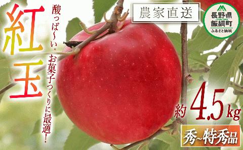 りんご 紅玉 秀 ～ 特秀 4.5kg ヒライ農園 沖縄県への配送不可 2024年10月上旬頃～2024年10月下旬頃まで順次発送 令和6年度収穫 信州の環境にやさしい農産物認証 飯綱町 [0362]