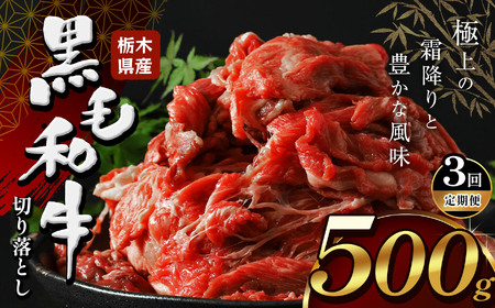 【定期便3回】栃木県産牛 黒毛和牛 切り落とし 500g | 栃木県 下野市