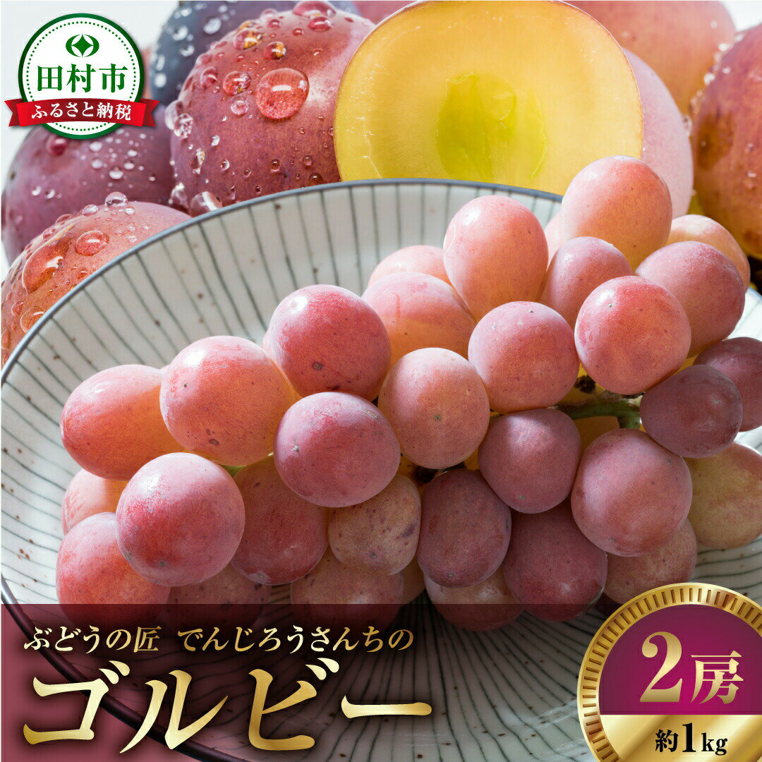【ふるさと納税】【 先行予約 2025年発送 】 ゴルビー 約1kg 冷蔵 高級 種無し 種なし シャインマスカット ブドウ ぶどう 品種 果物 甘い 巨峰 美味しい 希少 人気 ランキング 福島県 田村市 ふくしま 福島 鈴木農園 でんじろうさん