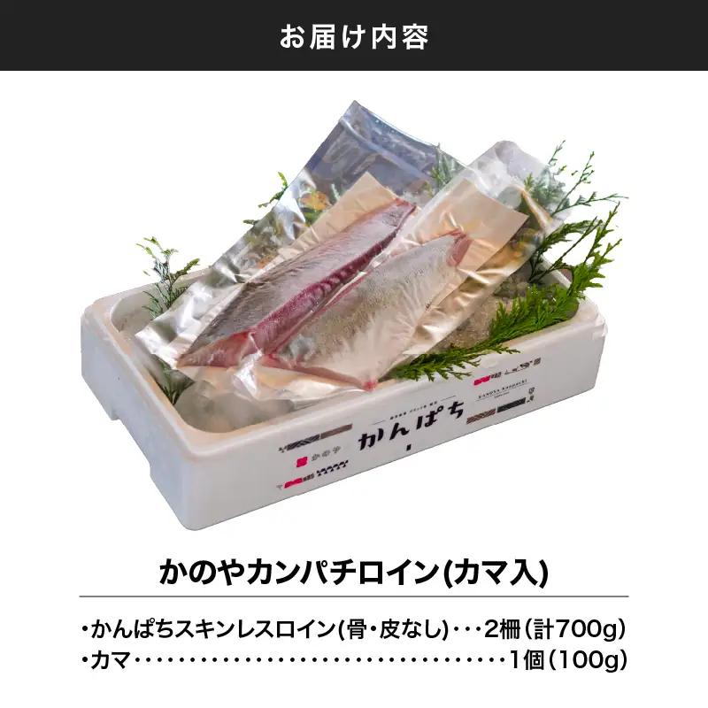 174-1 かのや カンパチロイン （ カマ入 ） KN001-001 魚 カンパチ