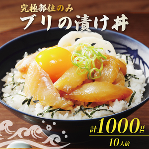 希少部位のみ ブリの漬け丼 100g 10パック つのとろ 大トロ ぶり 鰤 漬け 漬け丼 希少部位 希少 トロ 小分け 冷凍 カンタン ごはん の お供 アレンジ イタリアン バスタ パン フランスパン アレンジ サラダ パスタ 簡単調理 簡単 魚 さかな 和食 洋食 晩ご飯 お酒 つまみ 丼 どんぶり丼物 ハマスイ 愛媛県愛南町 愛媛県 愛南町