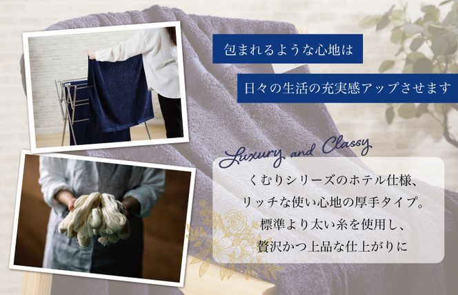 ホテル仕様 バスタオル 2枚（ネイビー）くむりシリーズ【泉州タオル 国産 吸水 普段使い 無地 シンプル 日用品 家族 ファミリー】 015B602_イメージ3