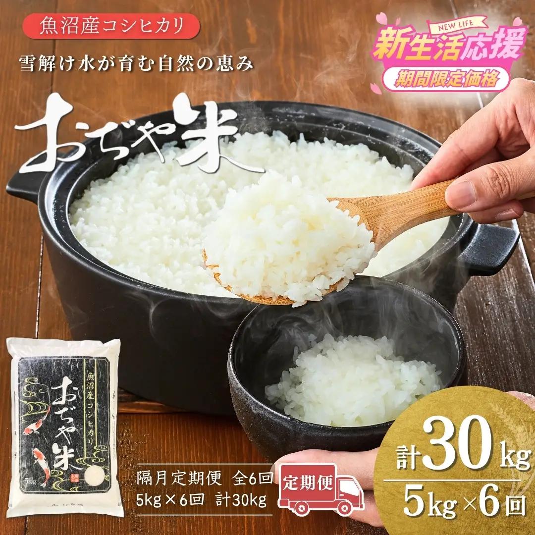 魚沼産コシヒカリ 令和7年 定期便 「おぢや米」 30kg（5キロ×6回 隔月）| 特A 新潟県 小千谷市 魚沼地域