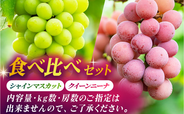 【先行予約】【数量限定】食べ比べセット 800g（シャインマスカット & クイーンニーナ 各一房）【合同会社 社方園】 [ZBZ018]