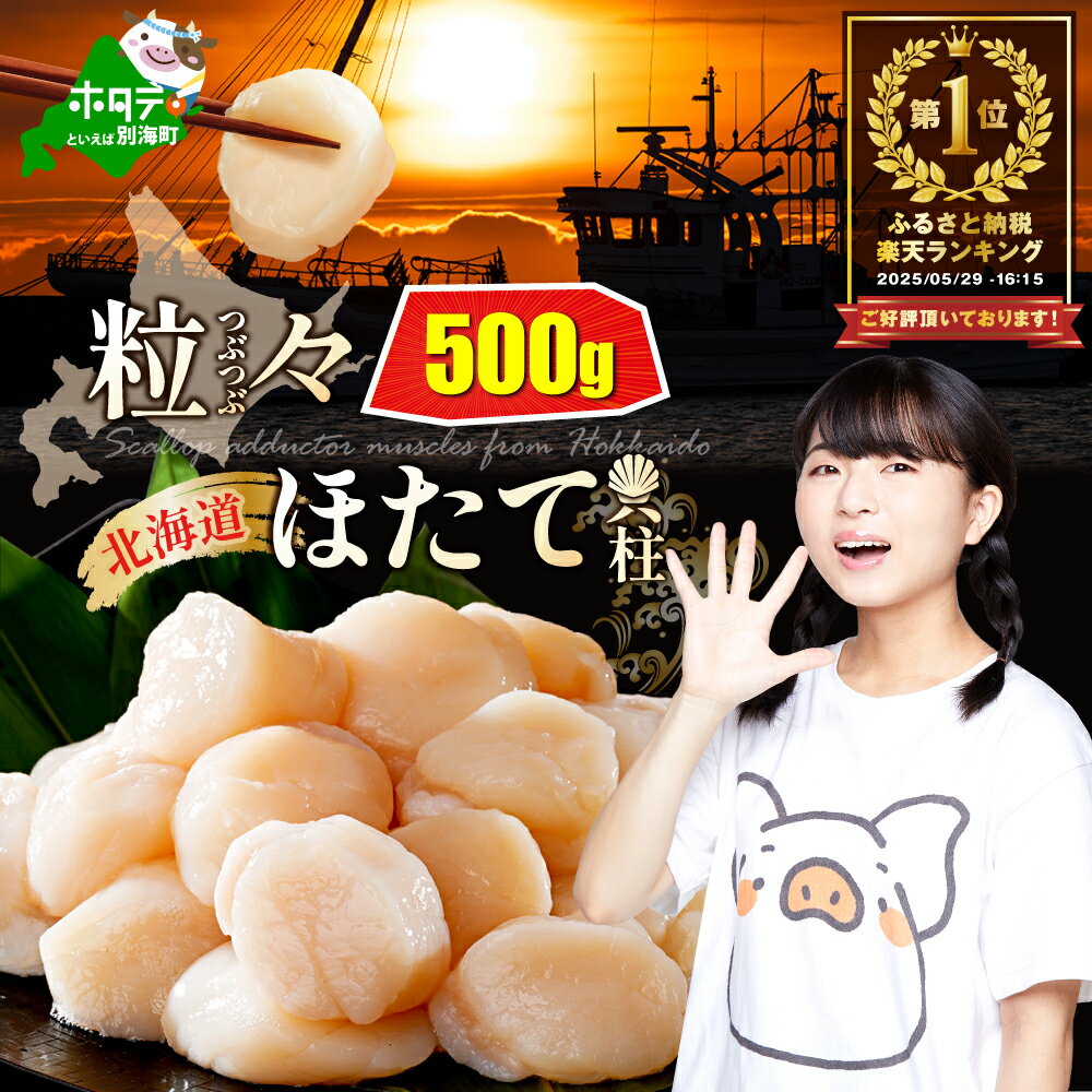 【ふるさと納税】高評価★4.8 ホタテ貝柱 500g 【 発送時期が選べる 】（ ふるさと納税 ホタテ 訳あり ふるさと納税 帆立 ホタテ貝柱 ふるさと納税 訳あり ふるさと 訳あり 刺身 冷凍 ほたて ホタテ 帆立 人気 ランキング わけあり 貝柱 貝 魚介 北海道 別海町 ）