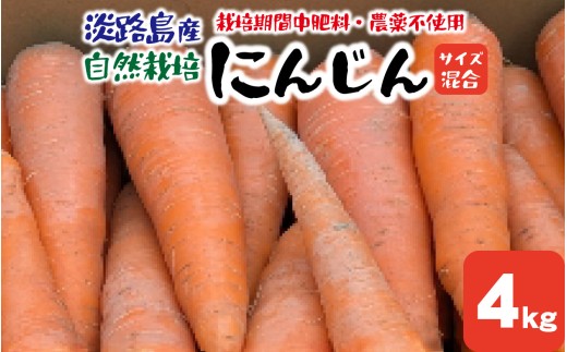 【期間限定】淡路島産 栽培期間中肥料・農薬不使用 自然栽培人参 4kg /  野菜 自然栽培 農薬不使用 兵庫 兵庫県 洲本市 にんじん ニンジン サイズ混合 瀬戸内海 御食国