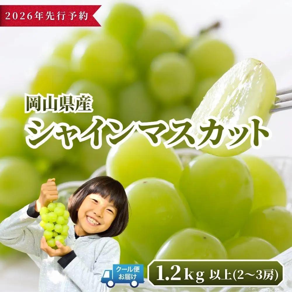 【2026年発送分 先行予約】 シャインマスカット 1.2kg以上（2～3房）【ご家庭用】【025-a035】