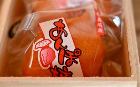 【贈答用】自然栽培あんぽ柿 桐箱 300g（3～4 個入り） F20C-968