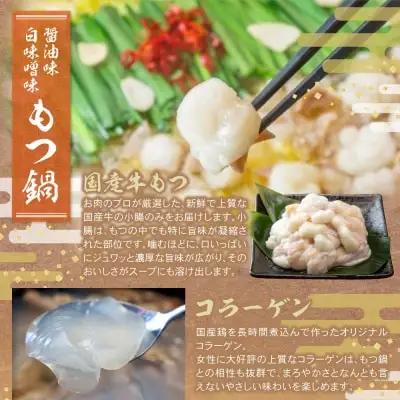 Y08-33 博多名物よりどり鍋セット(水炊き2～3人前・もつ鍋 醤油・白味噌各2人前) 水炊き もつ鍋