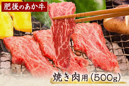 肥後のあか牛 焼き肉用 500g 長洲501 熊本 特産 あか牛《30日以内に出荷予定(土日祝除く)》