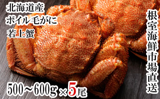 D-11062 ボイル毛がに500～600g×5尾(若上蟹)