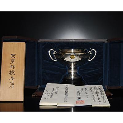 ふるさと納税 掛川市 天皇杯受賞茶園栽培のプレミアム茶100g×5袋 |  | 02